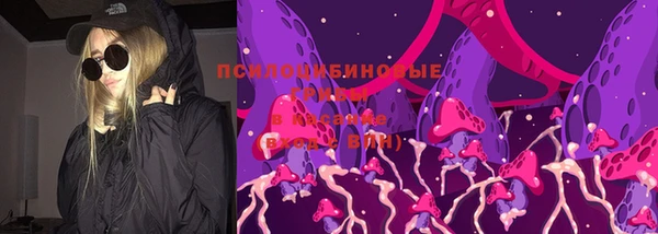 амф Алзамай