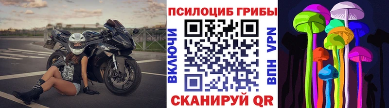 мориарти клад  Белая Калитва  Галлюциногенные грибы ЛСД 