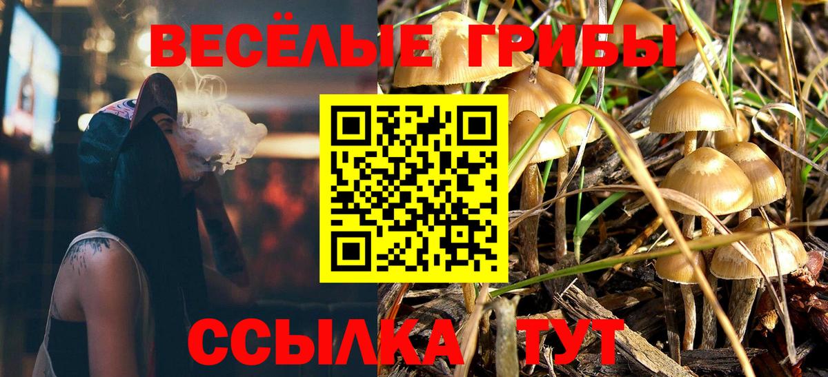 Псилоцибиновые грибы GOLDEN TEACHER  Вход с VPN  Белая Калитва  Галлюциногенные грибы Cubensis 