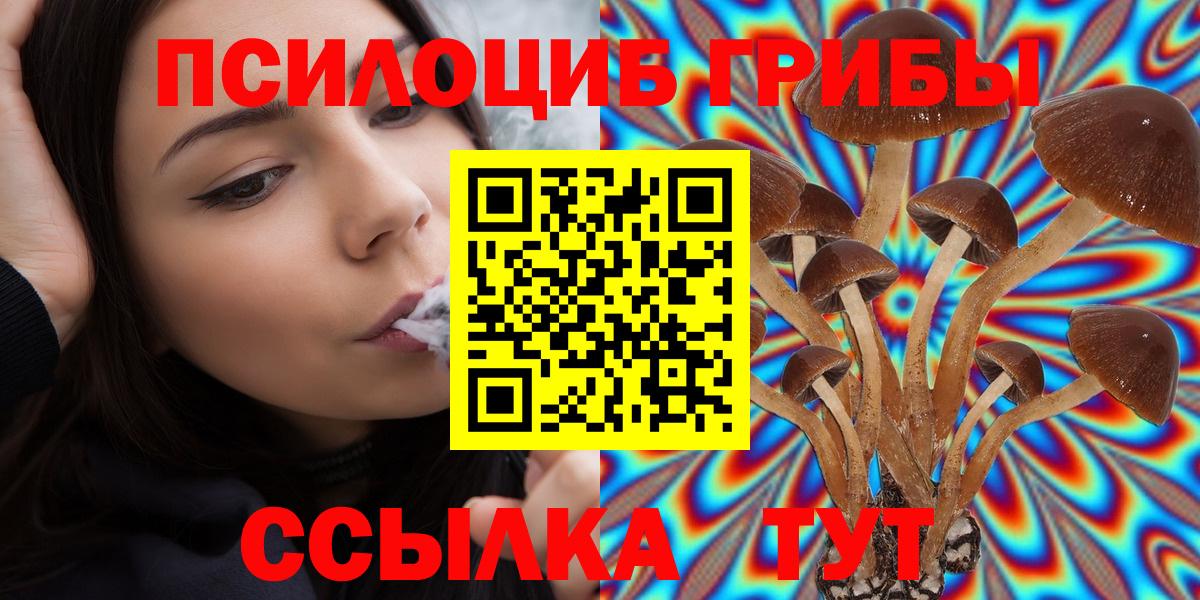 Галлюциногенные грибы Psilocybine cubensis Белая Калитва